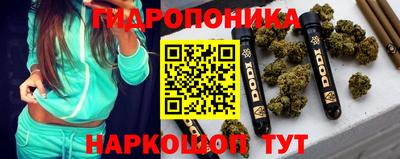 амф Кандалакша