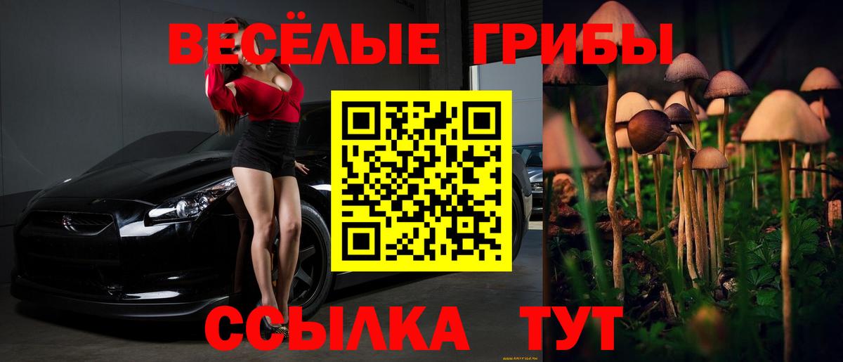 Псилоцибиновые грибы Psilocybine cubensis  Вход с VPN  где найти   Галлюциногенные грибы мицелий  Конаково 
